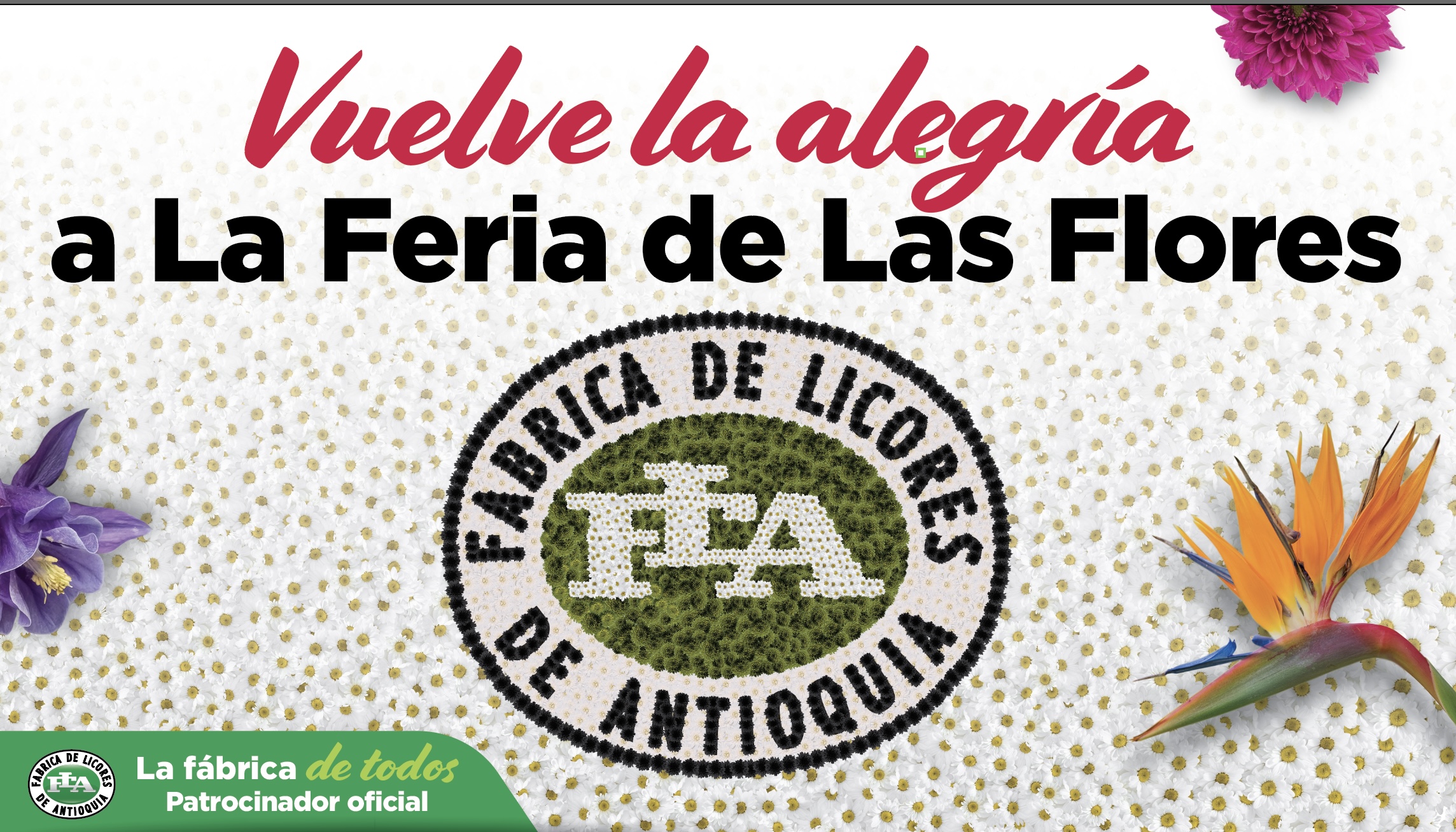 FLA Flores